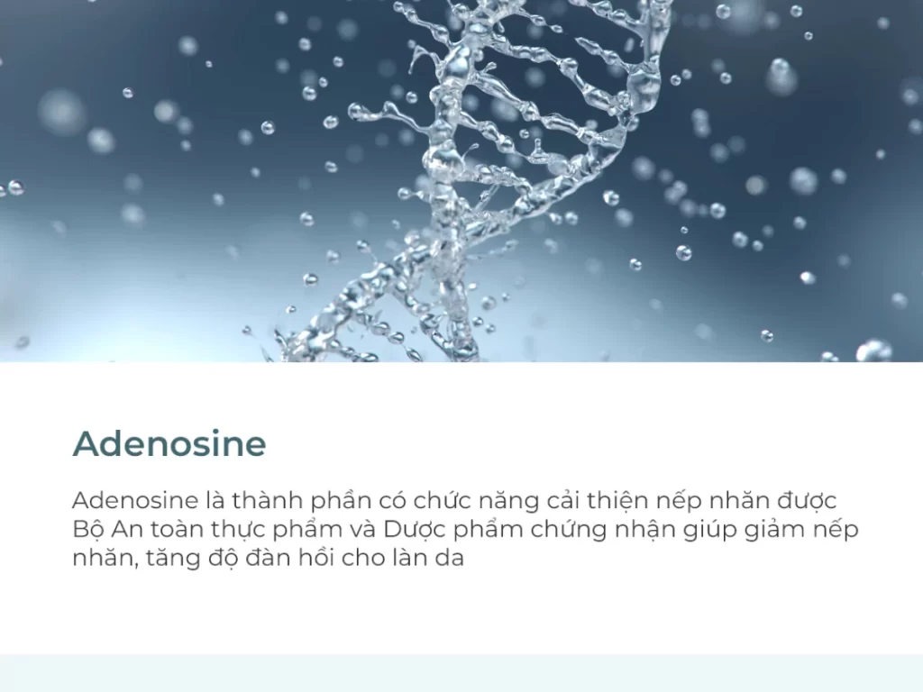 Tinh chất chống lão hóa Anti-Wrinkle Ampoule (200ml)