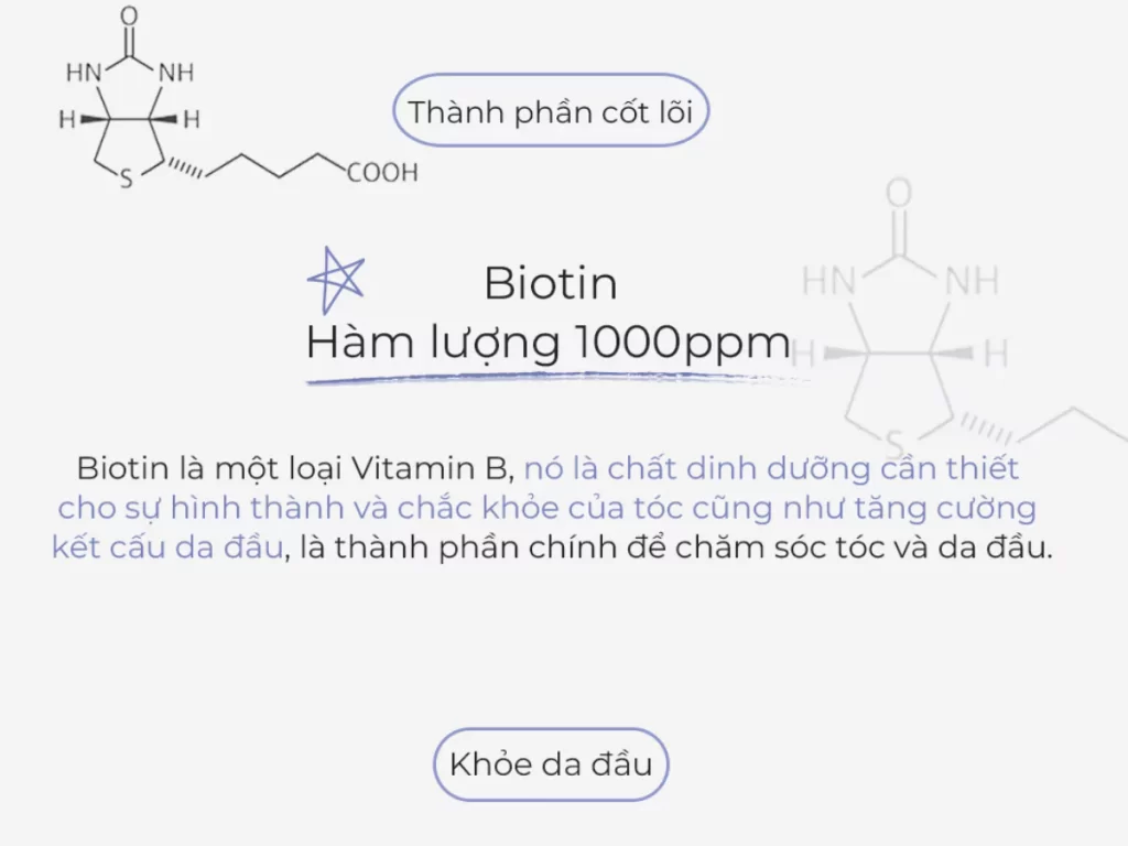 Dầu gội đầu tăng sức sống cho tóc Vital Energy Shampoo 280ml