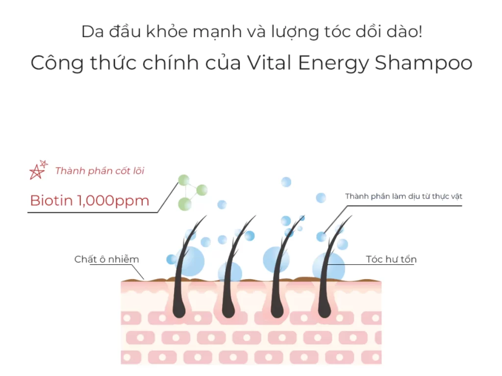 Dầu gội đầu tăng sức sống cho tóc Vital Energy Shampoo 280ml