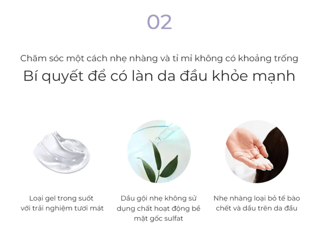 Dầu gội đầu tăng sức sống cho tóc Vital Energy Shampoo 280ml