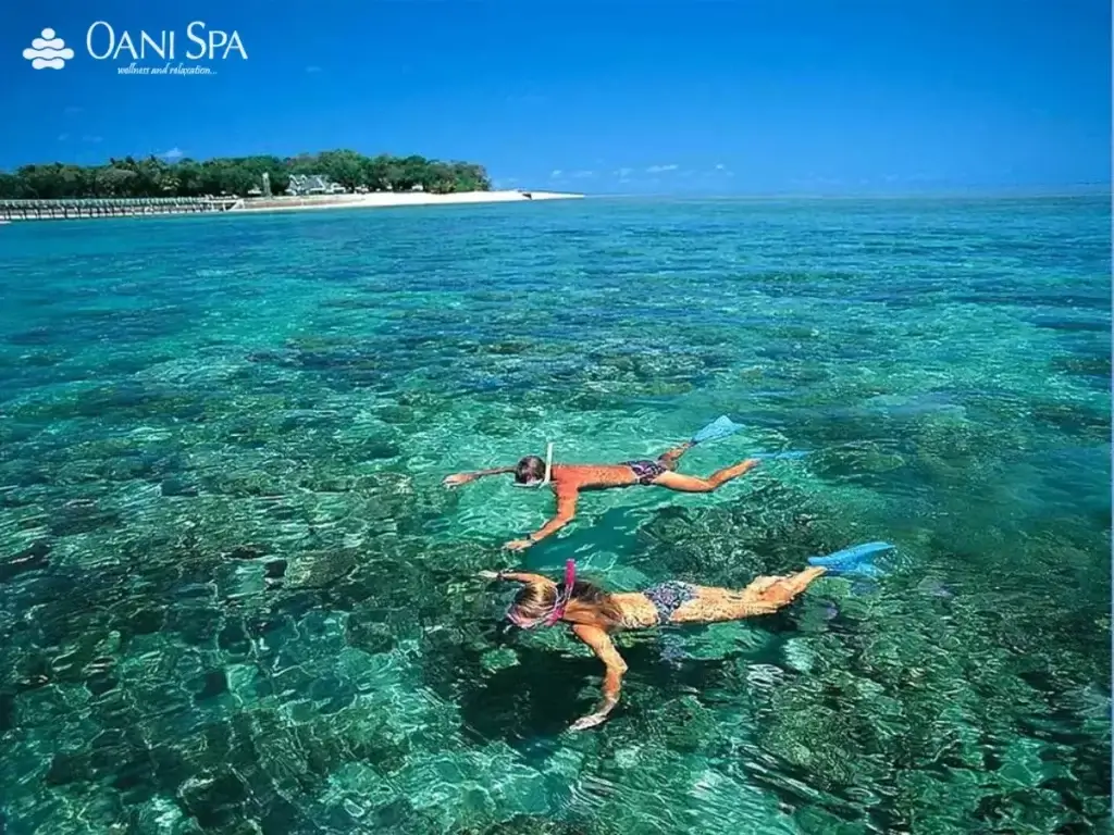 Ngắm nhìn sinh vật biển thú vị tại Cù Lao Chàm