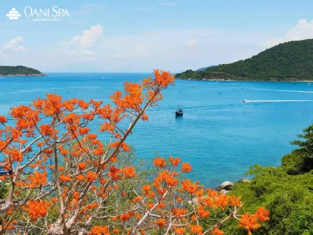 Hè có lẽ là thời gian đẹp nhất ở Cù Lao Chàm