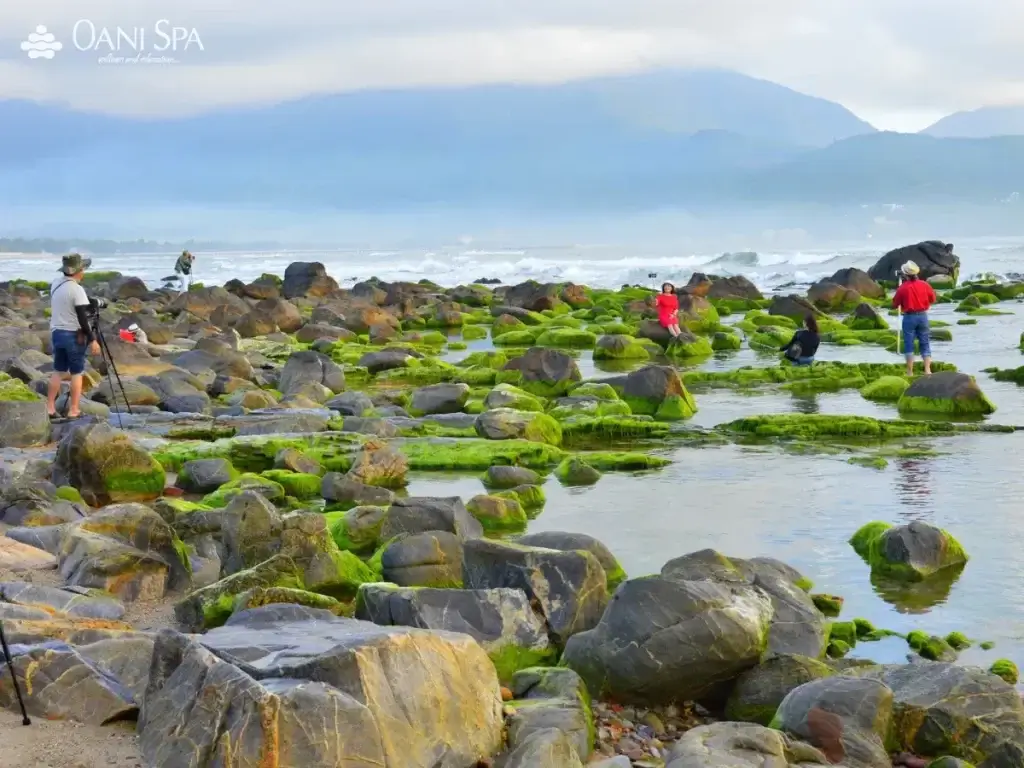 Đường đi đến Nam Ô khá phức tạp