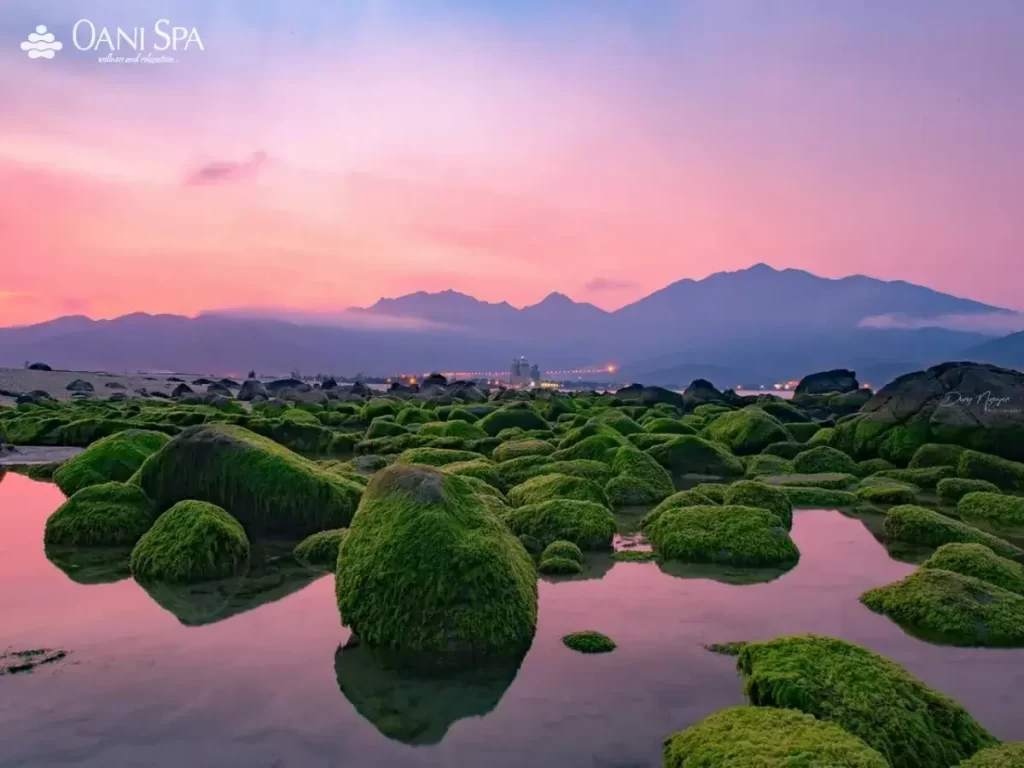 Chiều tà bên bãi Nam Ô