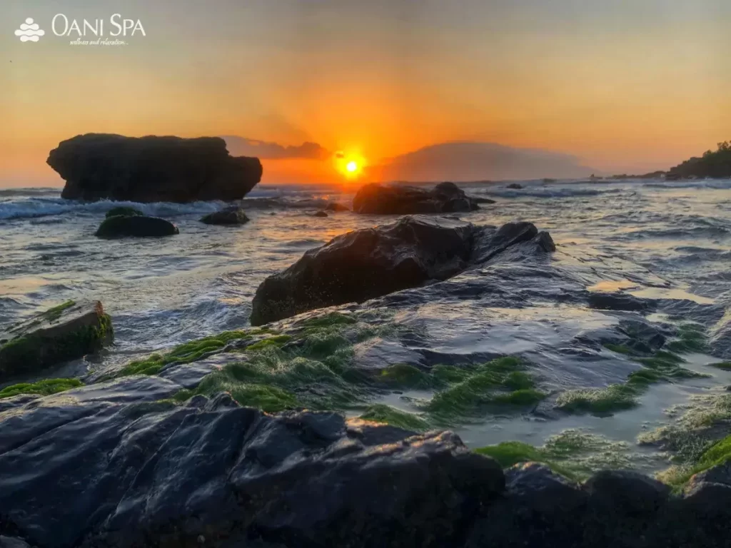 Đón bình minh bên bờ biển xanh phủ đầy rêu