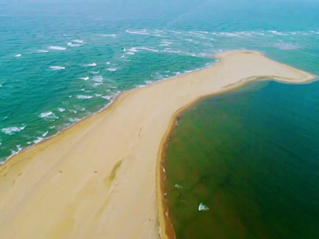 Khám phá đời sống biển và sinh vật đa dạng