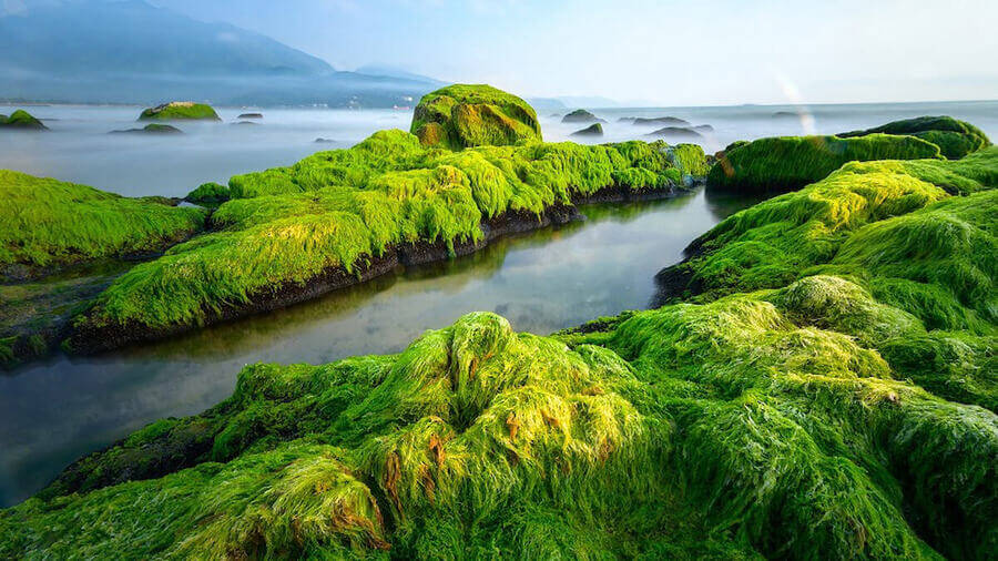 bãi biển Nguyễn Tất Thành