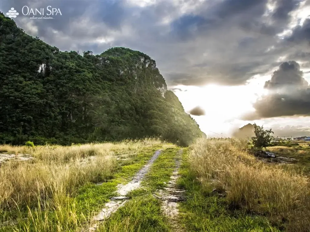 bãi cháy Đà Nẵng Thời gian thích hợp để đến bãi cháy Sơn Trà Đà Nẵng