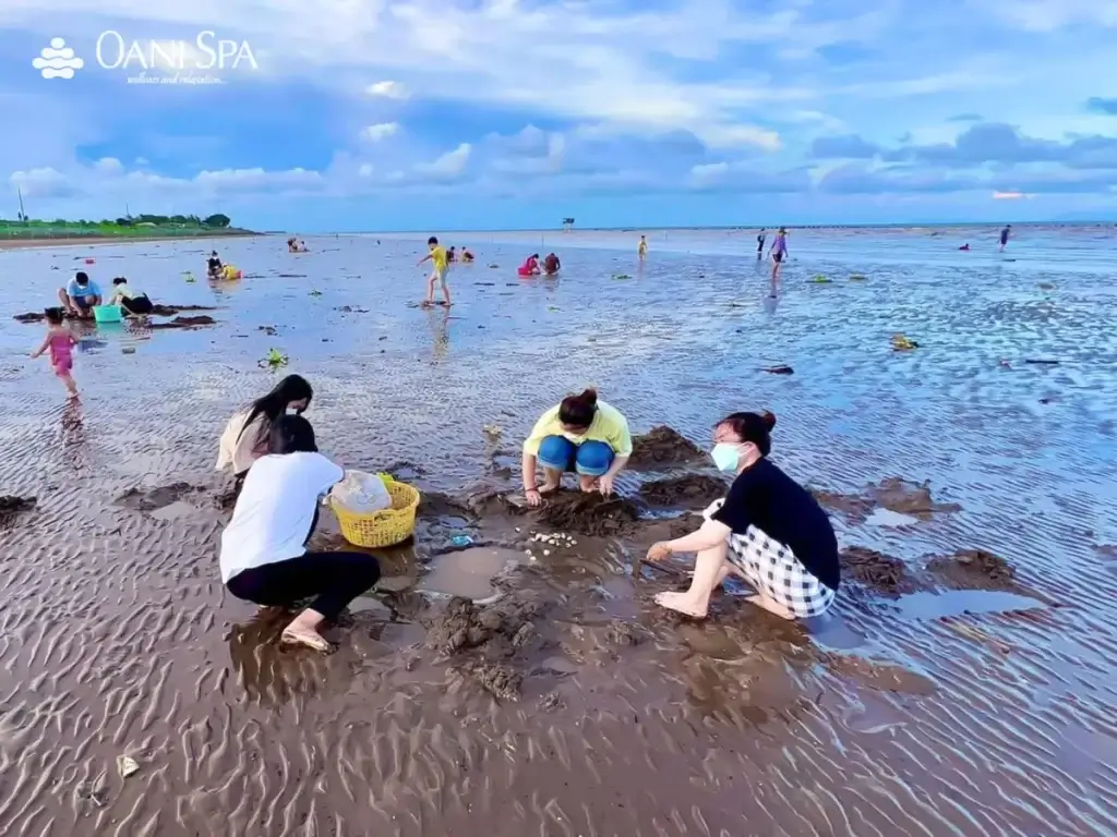 biển tân cảnh dương