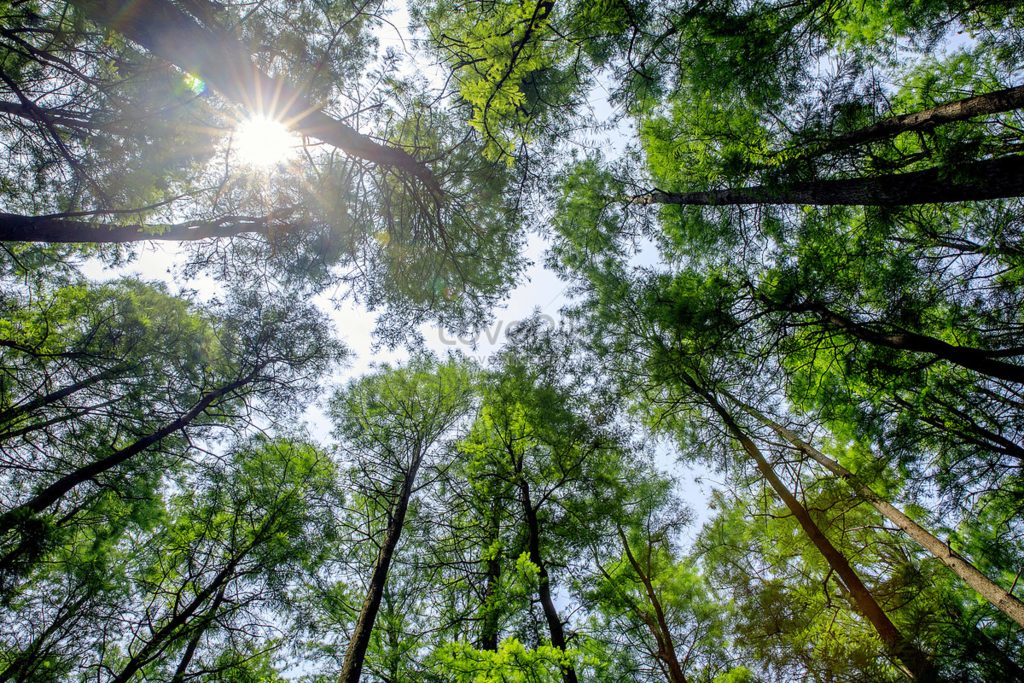 Mã cảng Tiên Sa Đà Nẵng Mã cảng Tiên Sa Đà Nẵng