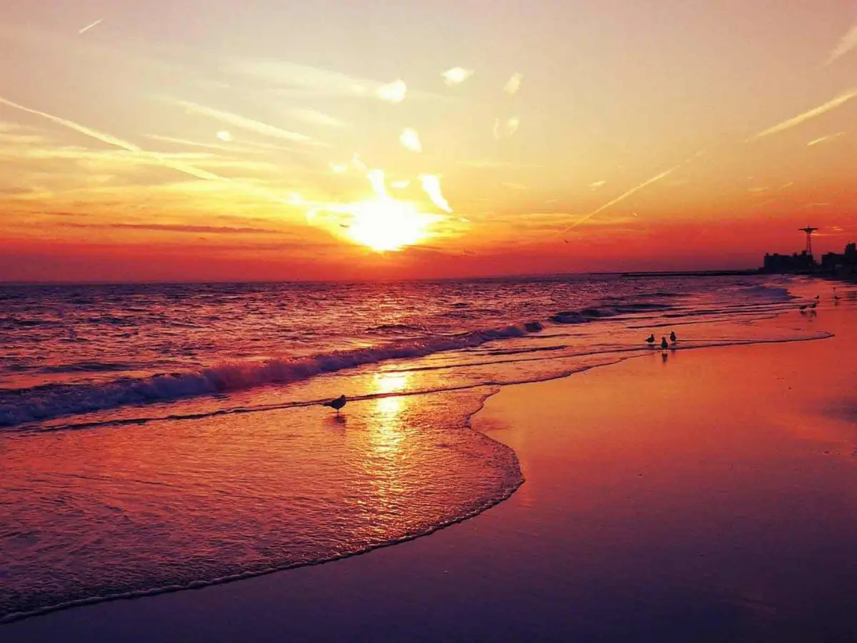 Cành hoàng hôn bên bãi biển Bắc Mỹ An