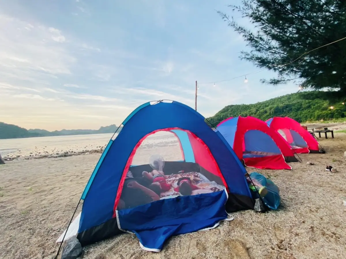 Cắm tại cùng bạn bè hoặc người thân để gắn kết và hiểu nhau hơn