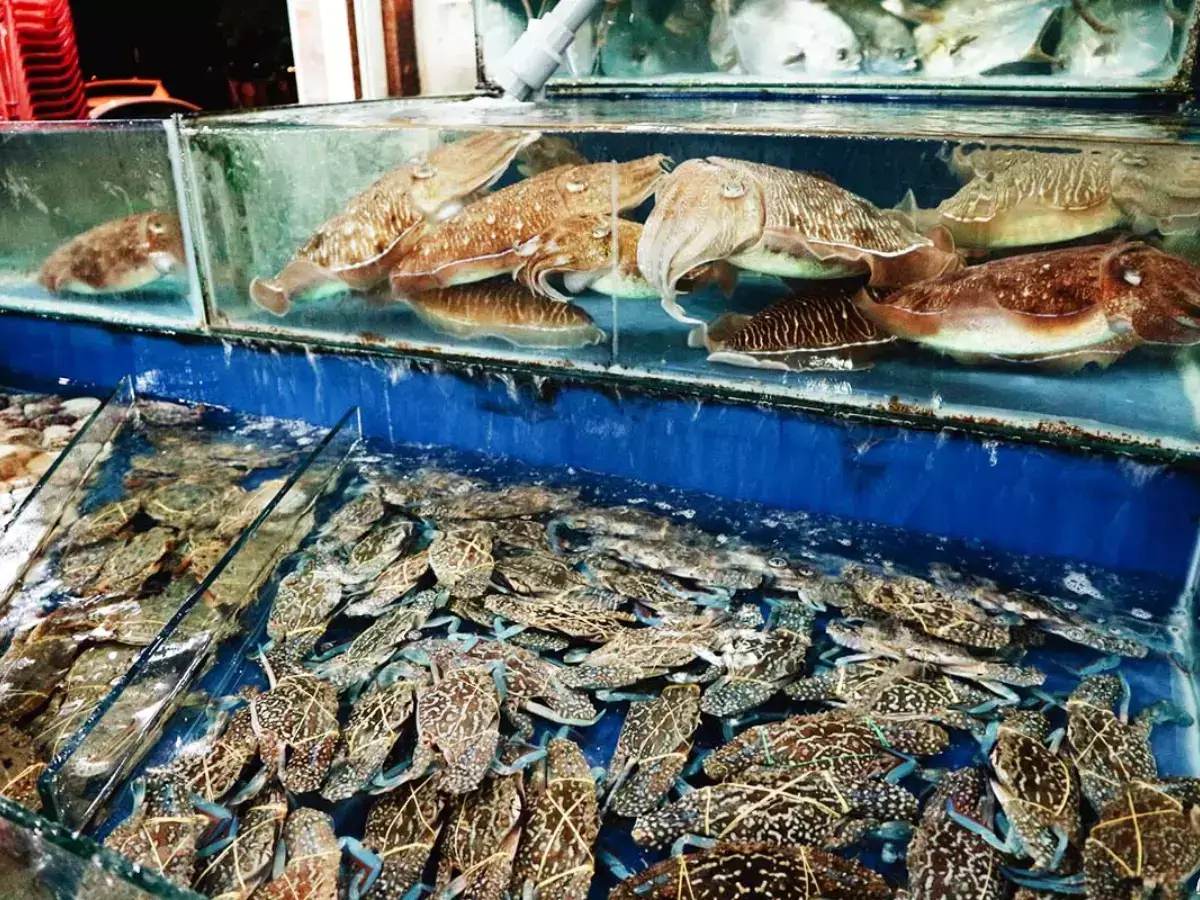 Hải sản Năm Rảnh Hải sản Năm Rảnh