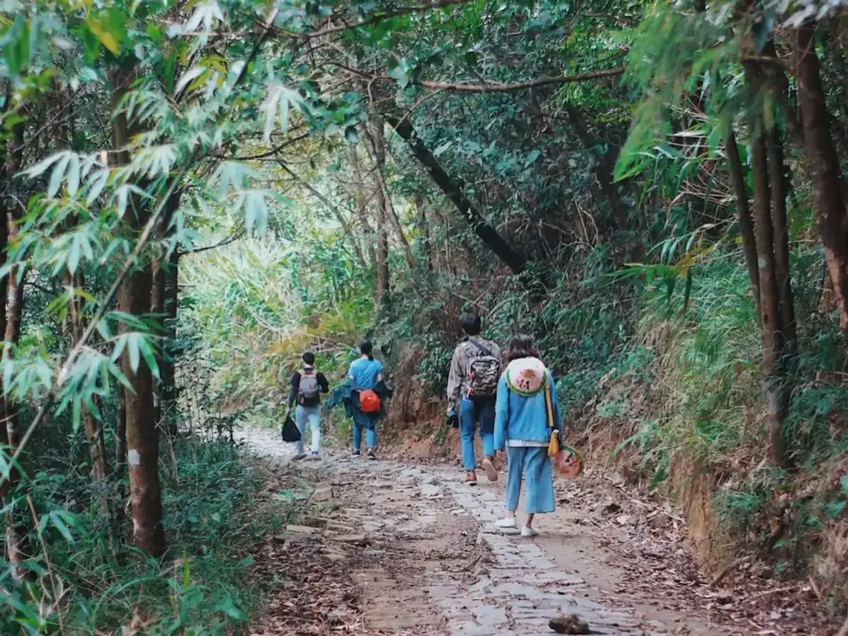 vườn quốc gia bạch mã vườn quốc gia bạch mã