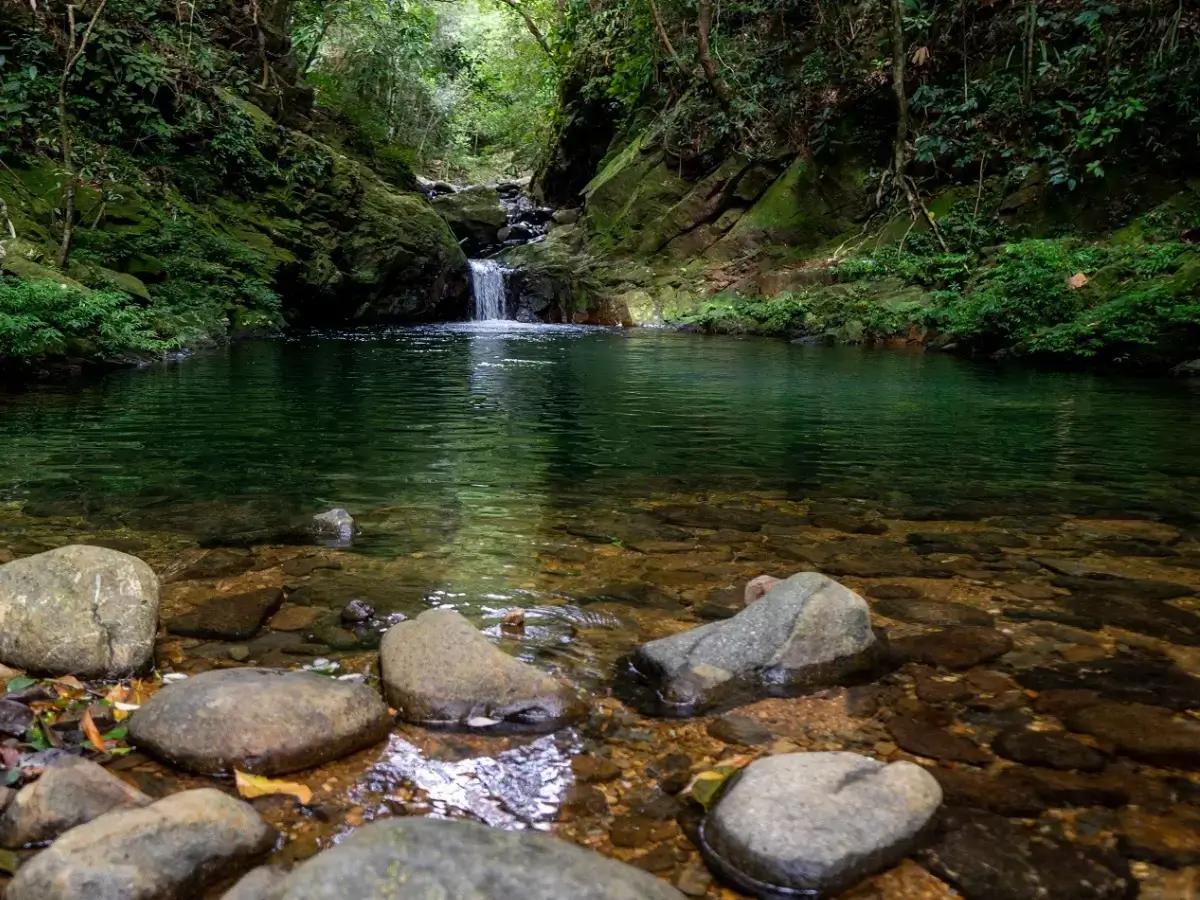 vườn quốc gia bạch mã vườn quốc gia bạch mã