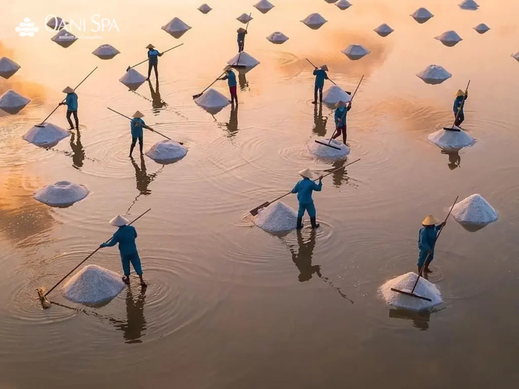 Quảng Ngãi có gì chơi