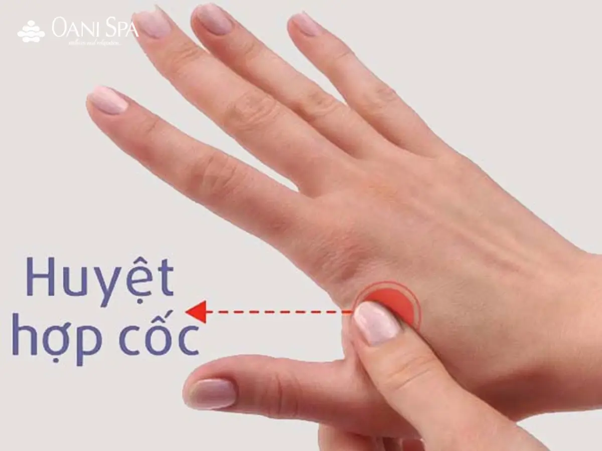 Vị trí huyệt Hợp Cốc chữa đau đầu