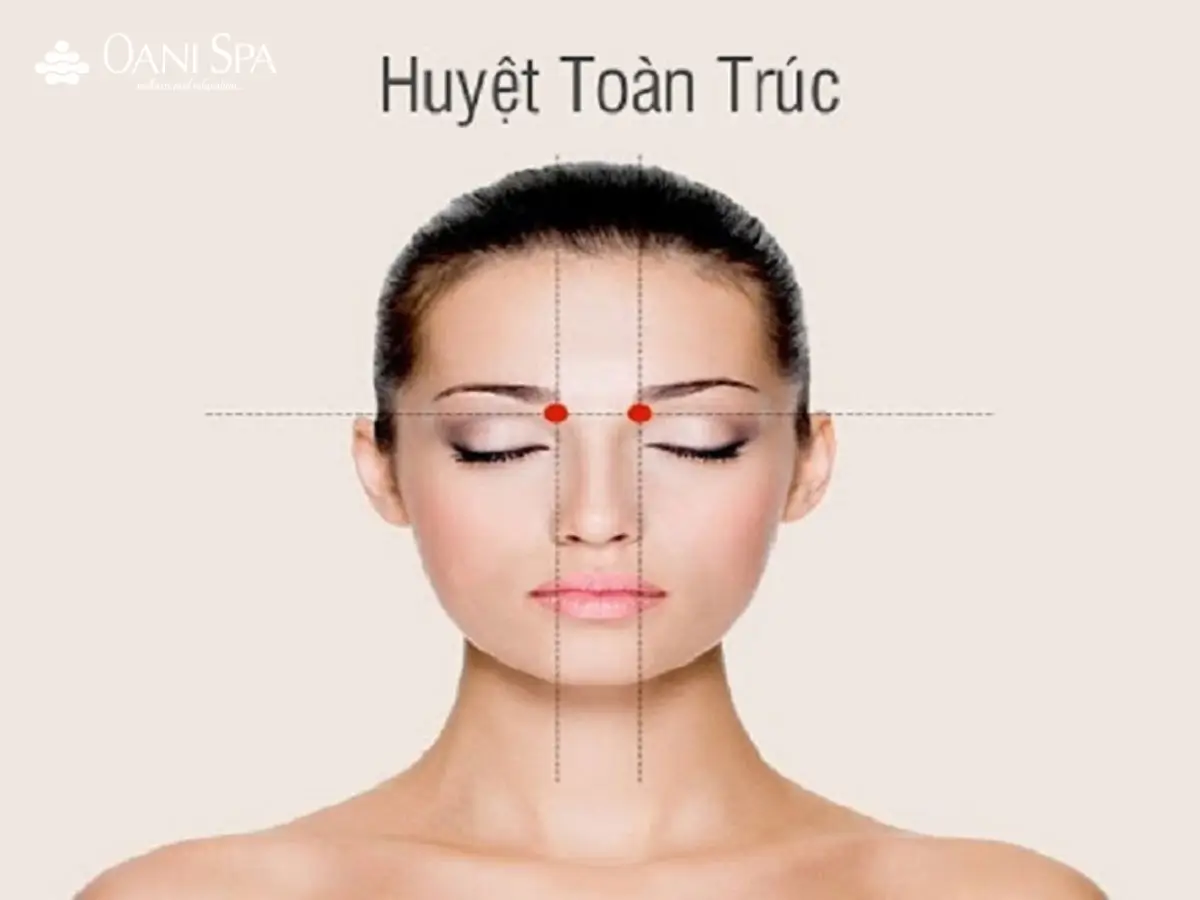 Vị trí huyệt Toàn Trúc trị bệnh đau đầu.