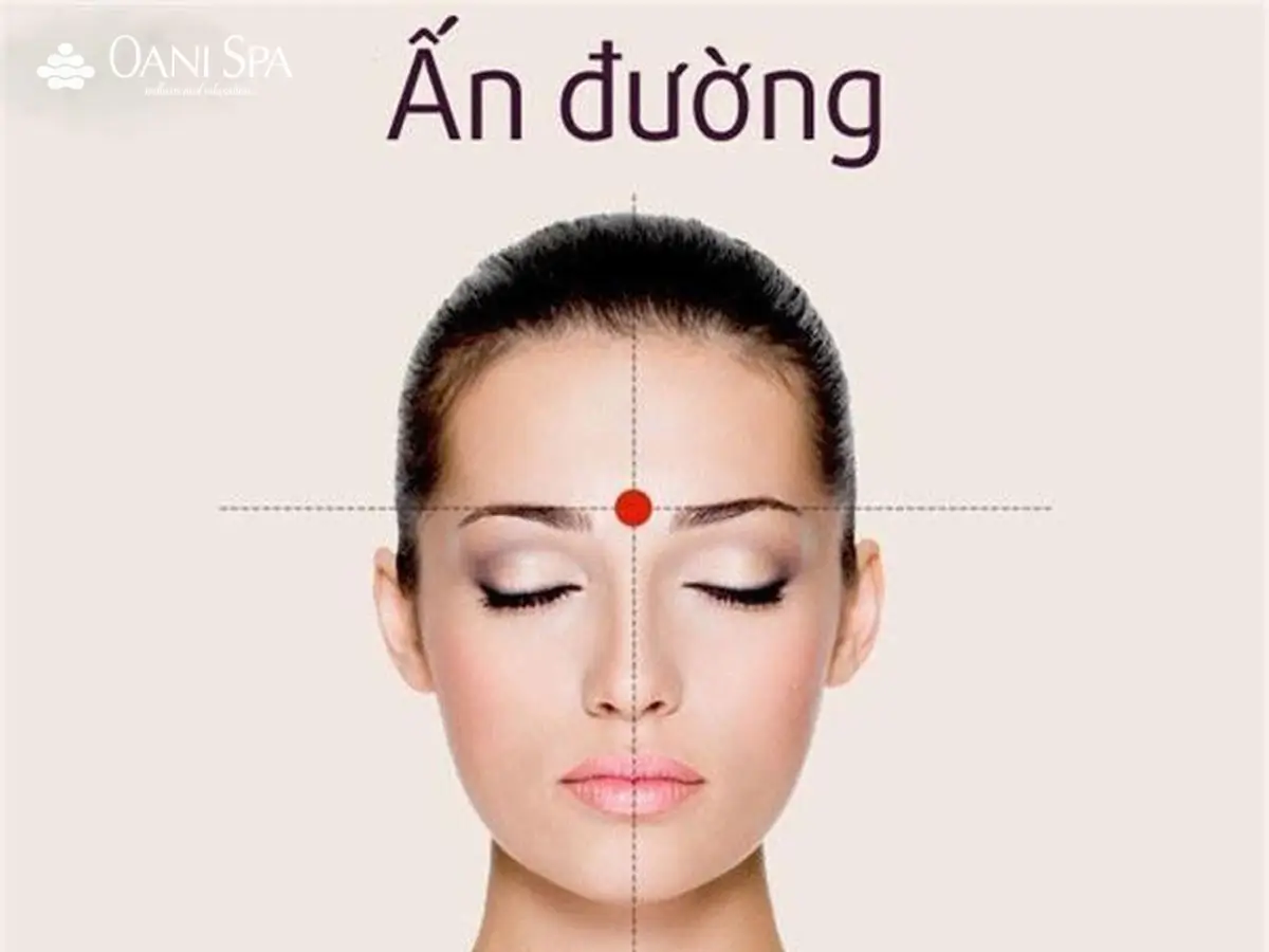 Vị trí huyệt Ấn Đường