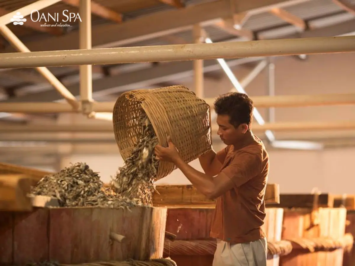 biển tam thanh biển tam thanh