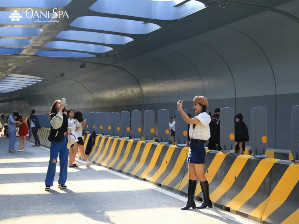 cầu Trần Thị Lý Đà Nẵng