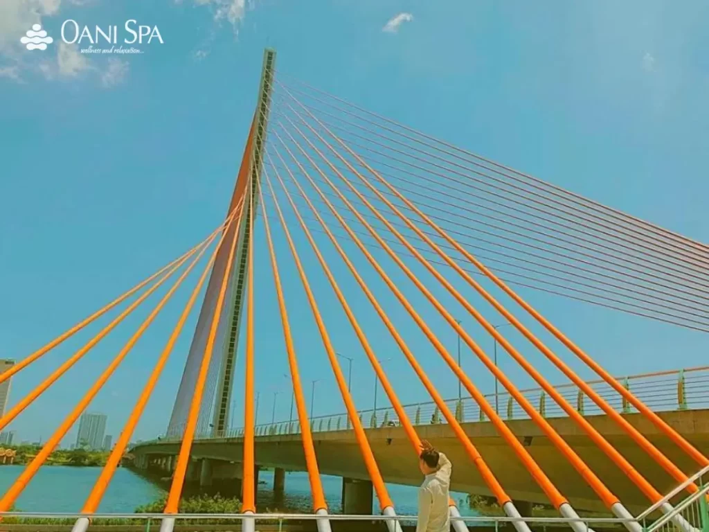 cầu Trần Thị Lý Đà Nẵng