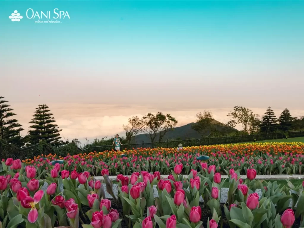 cầu Vàng Đà Nẵng