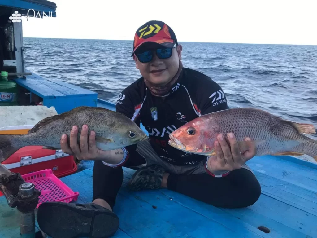 câu cá Cù Lao Chàm câu cá Cù Lao Chàm