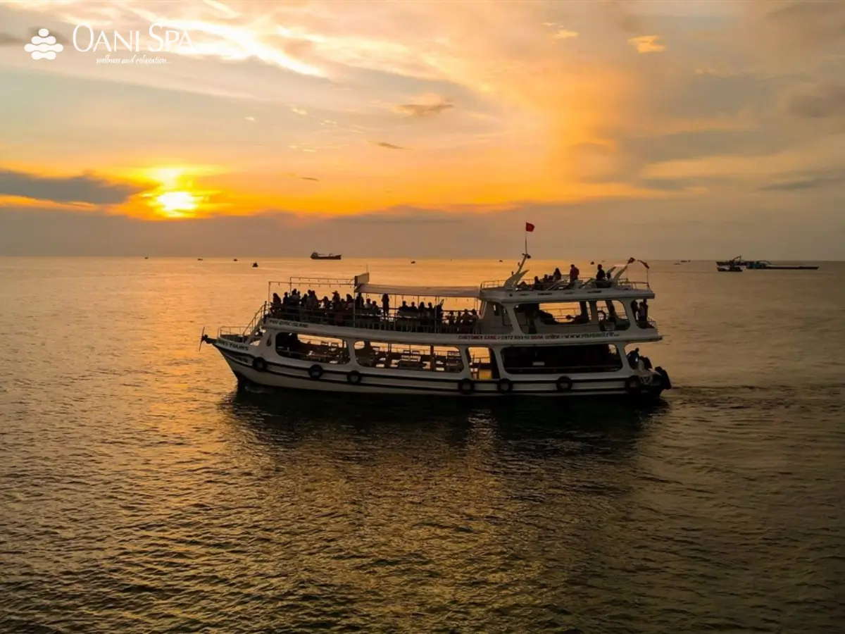 Câu mực đêm Đà Nẵng Câu mực đêm Đà Nẵng