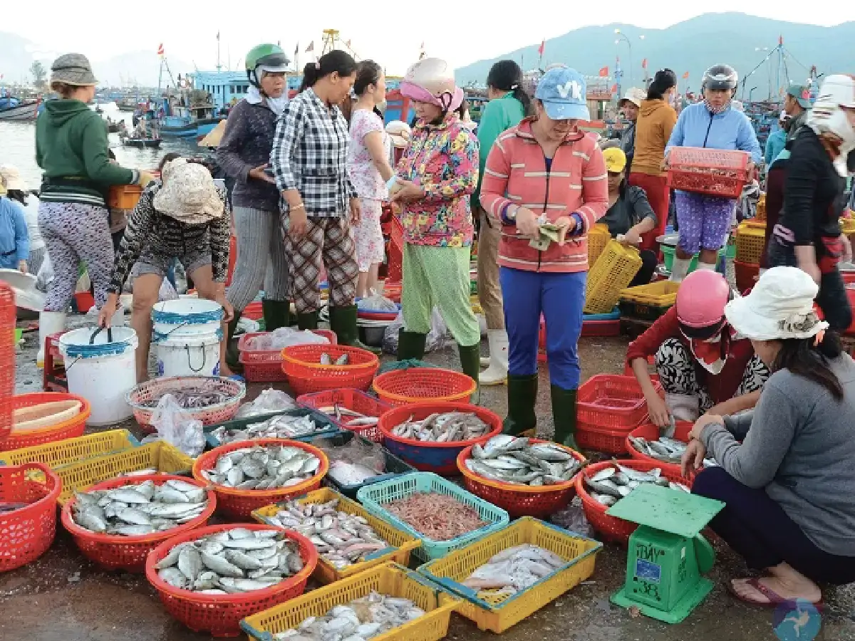 chợ chiều Đà Nẵng