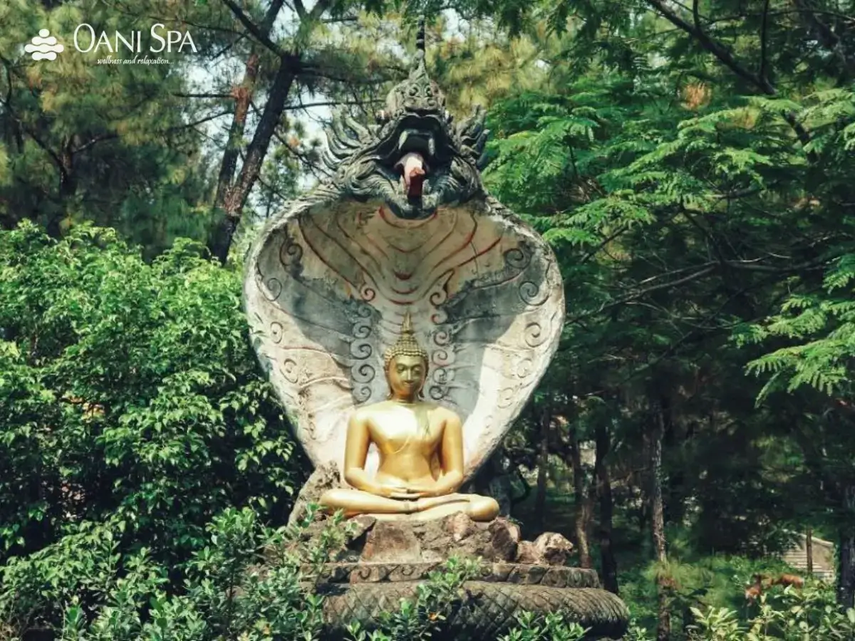 chùa Thiền Lâm chùa Thiền Lâm