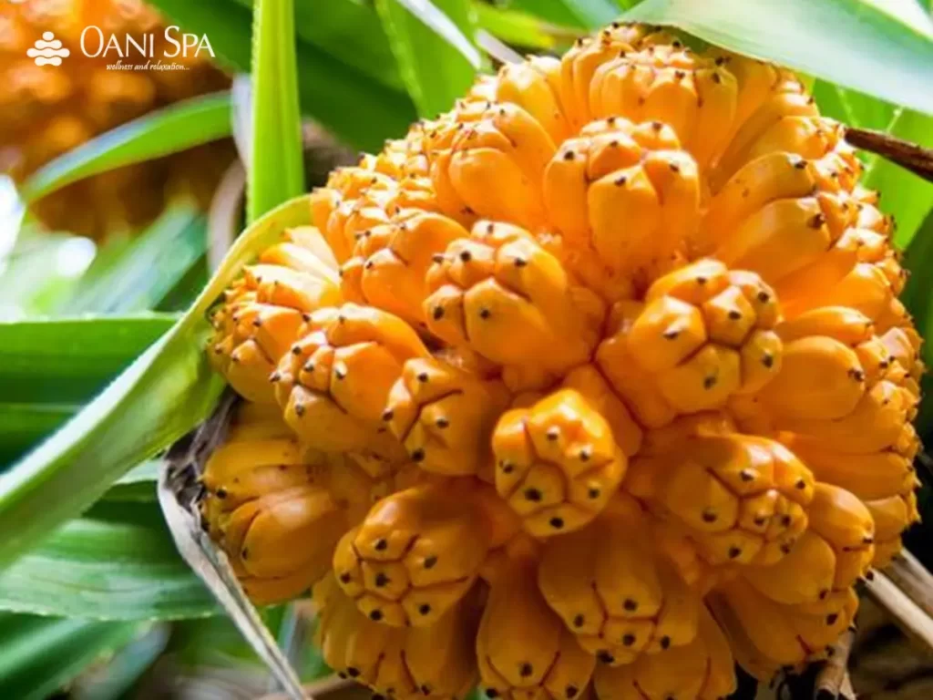 Cù lao xanh Quy Nhơn Cù lao xanh Quy Nhơn