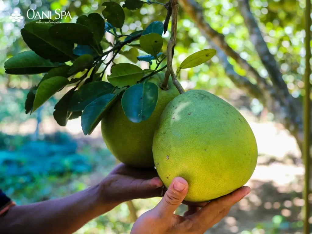 đặc sản Huế làm quà