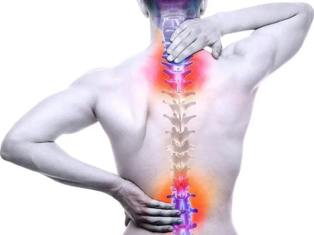 Đau lưng mỏi gối tê tay Bệnh lý cơ xương khớp