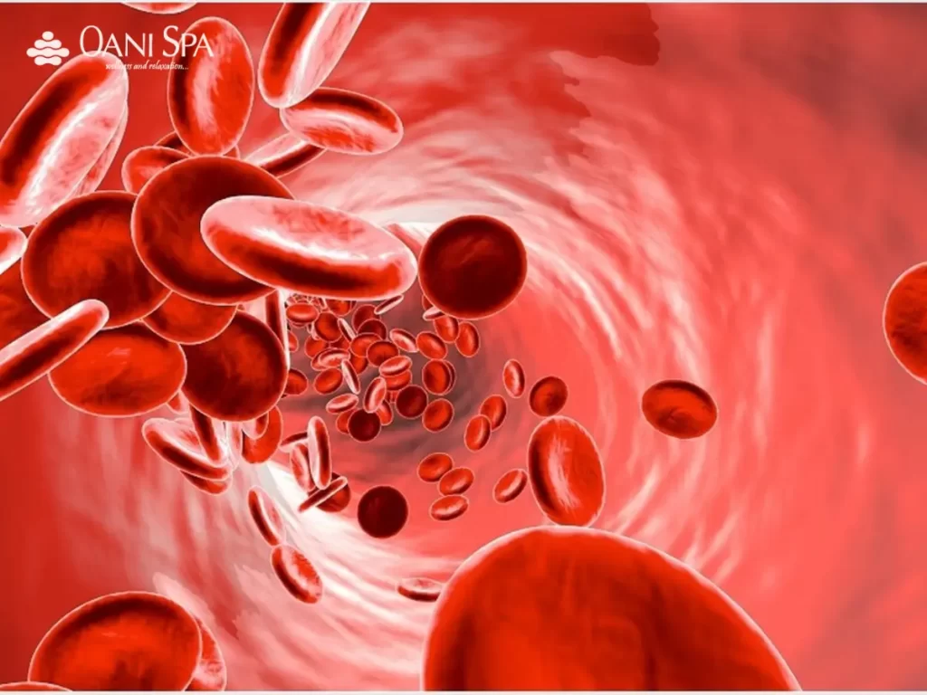 Đau lưng mỏi gối tê tay Thiếu máu và rối loạn chuyển hóa