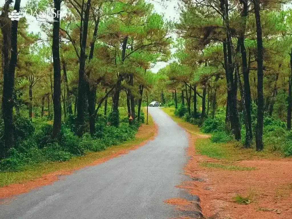 địa điểm du lịch huế