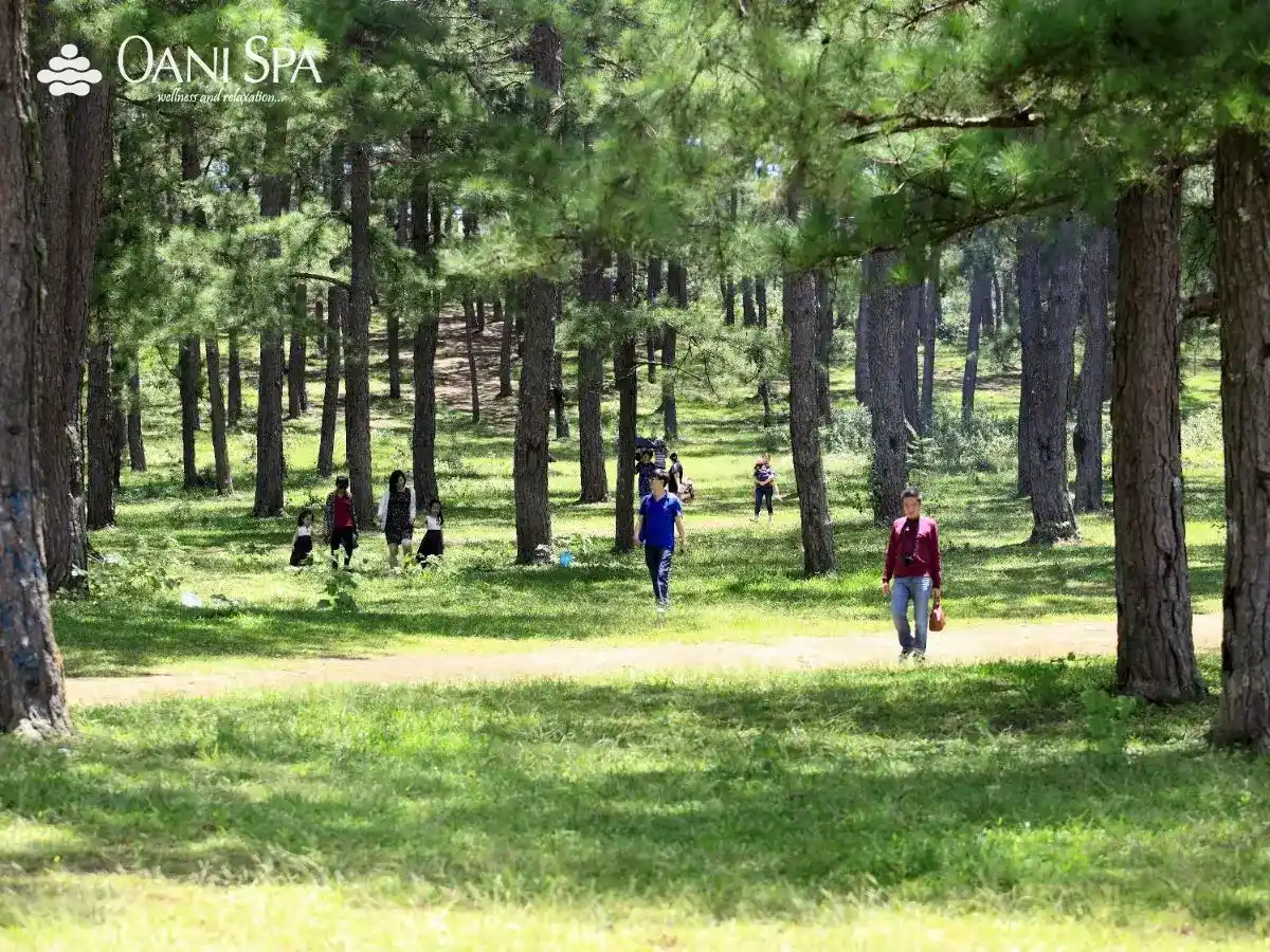 đồi Vọng Cảnh Đồi Vọng Cảnh