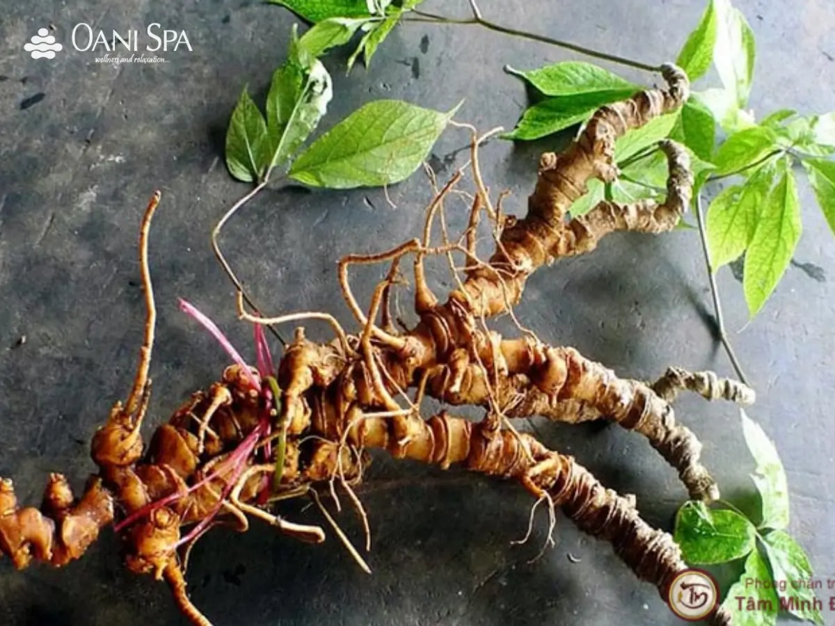 hồ Phú Ninh hồ Phú Ninh