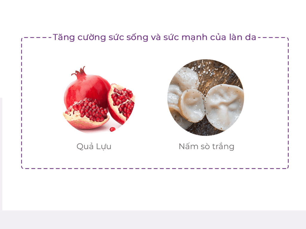 Kem dưỡng chống lão hóa tế bào gốc thực vật Plant Stem Cell Repair Cream (50ml-200ml) Kem dưỡng chống lão hóa tế bào gốc thực vật Plant Stem Cell Repair Cream (50ml-200ml)