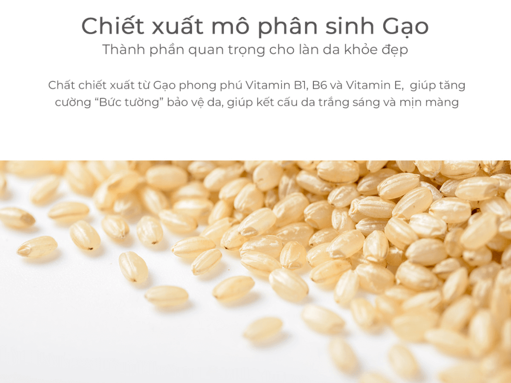 Kem dưỡng chống lão hóa tế bào gốc thực vật Plant Stem Cell Repair Cream (50ml-200ml) Kem dưỡng chống lão hóa tế bào gốc thực vật Plant Stem Cell Repair Cream (50ml-200ml)