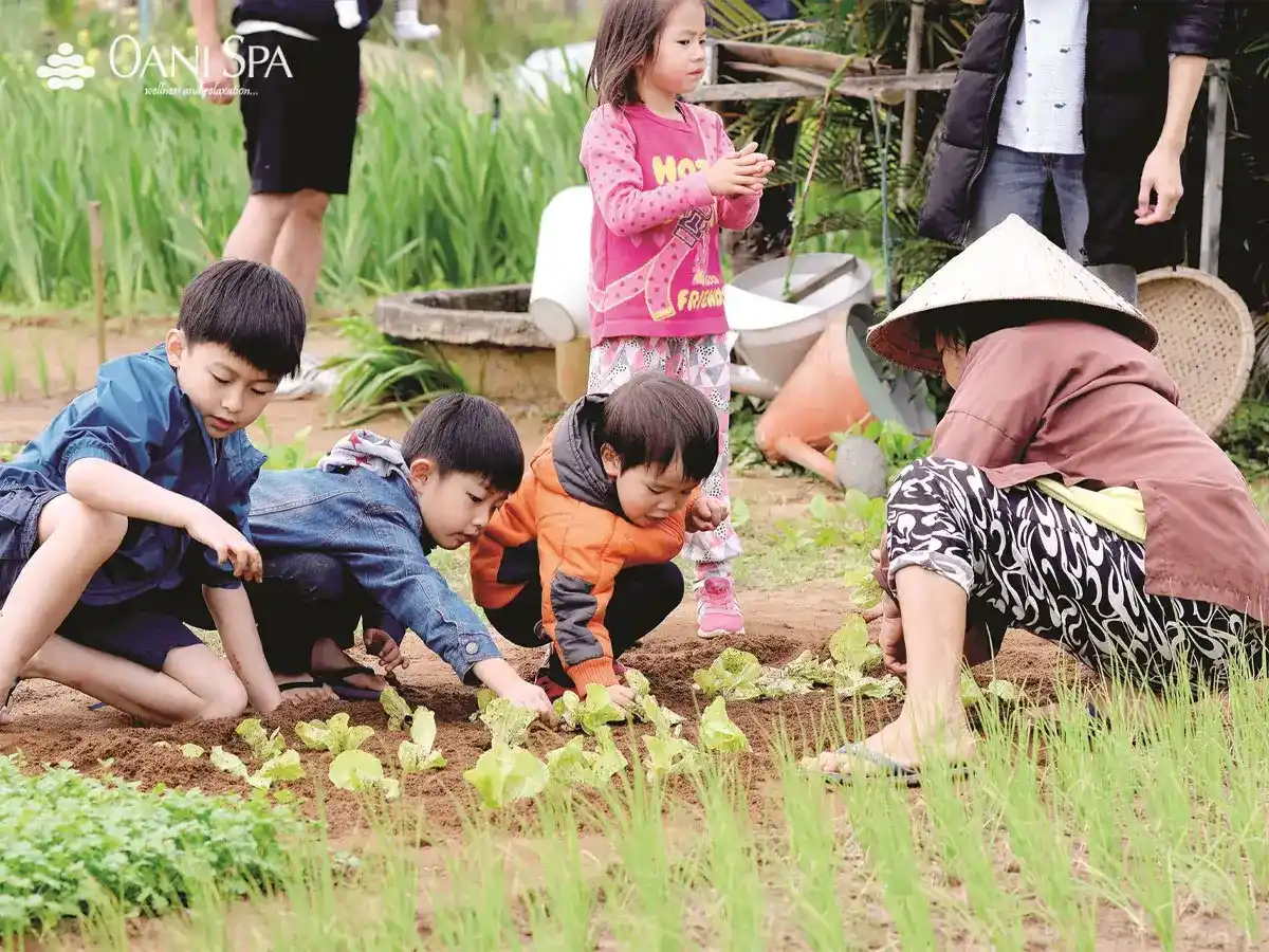 khu vui chơi trẻ em ở đà nẵng khu vui chơi trẻ em ở đà nẵng