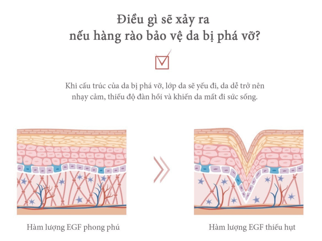 EGF Hydra Gentle Skin EGF Hydra Gentle Skin