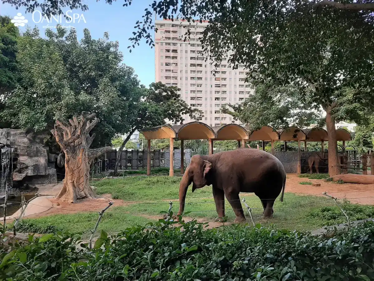 Sở thú Đà Nẵng Sở thú Đà Nẵng