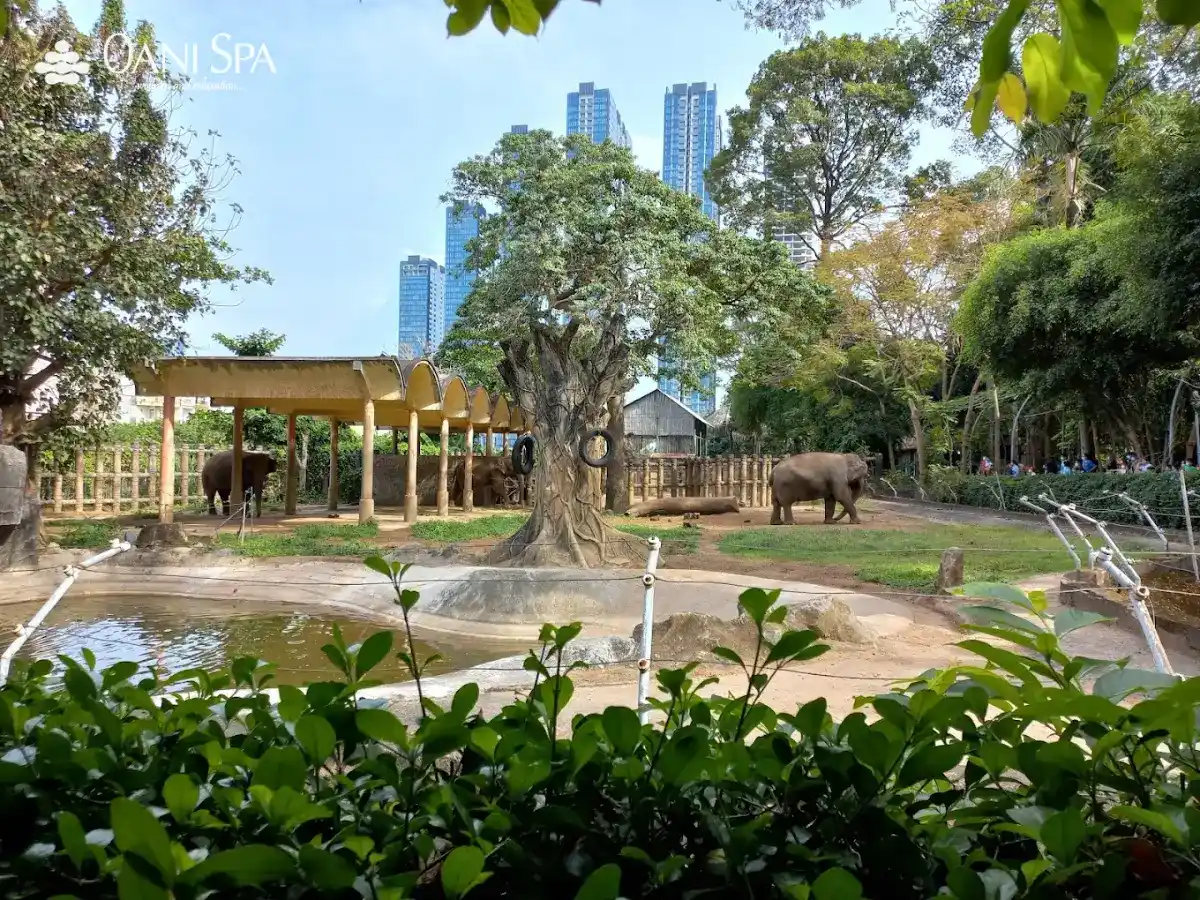 Sở thú Đà Nẵng Sở thú Đà Nẵng