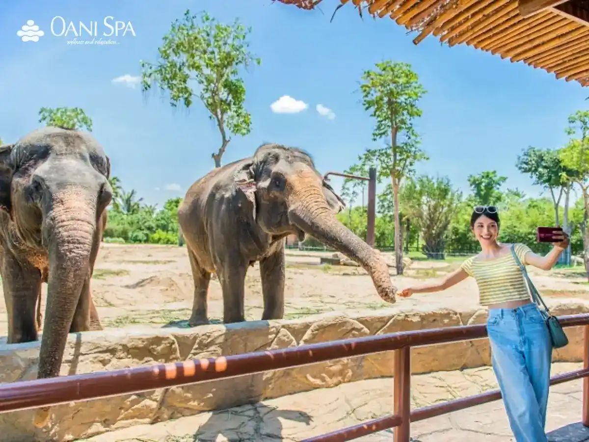 Sở thú Đà Nẵng Sở thú Đà Nẵng