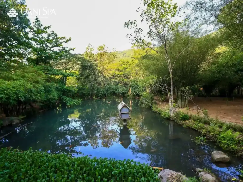 sơn trà tịnh viên