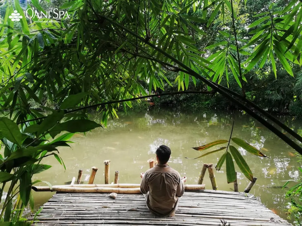 sơn trà tịnh viên