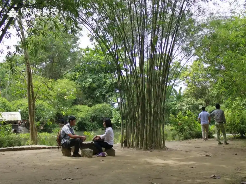 sơn trà tịnh viên