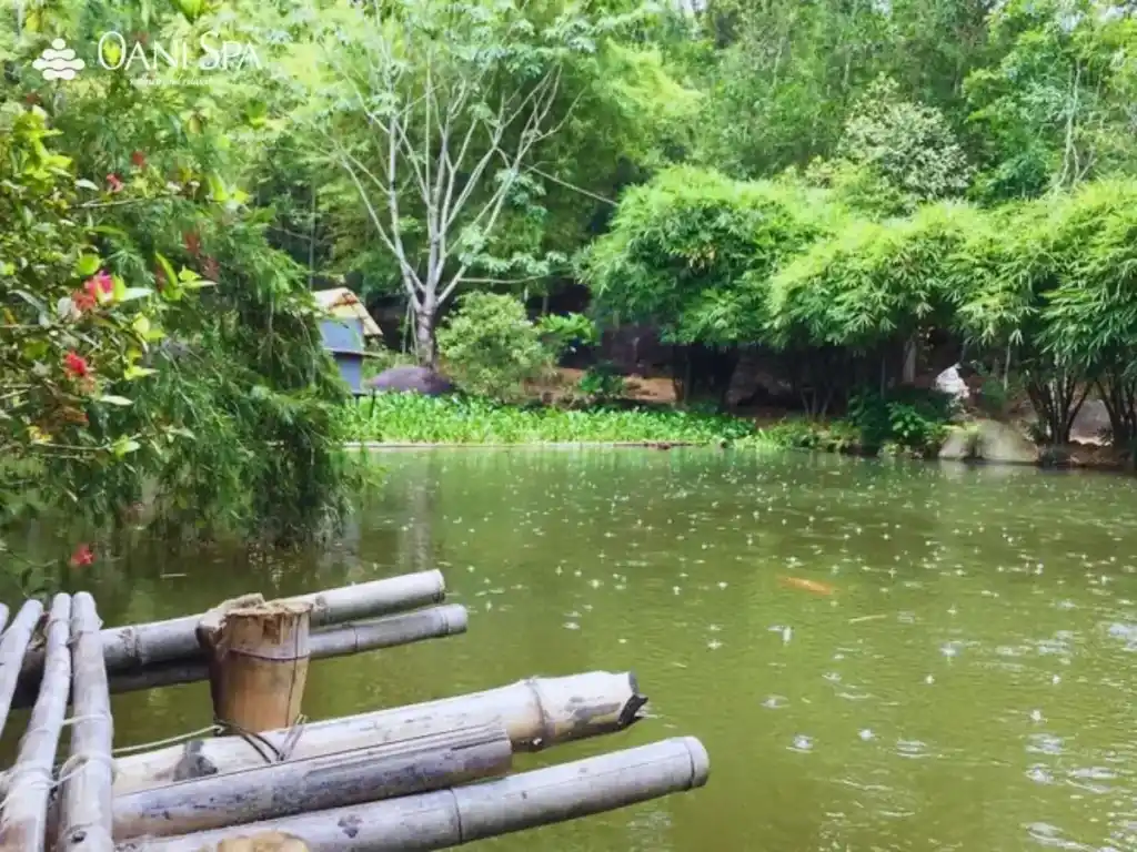 sơn trà tịnh viên