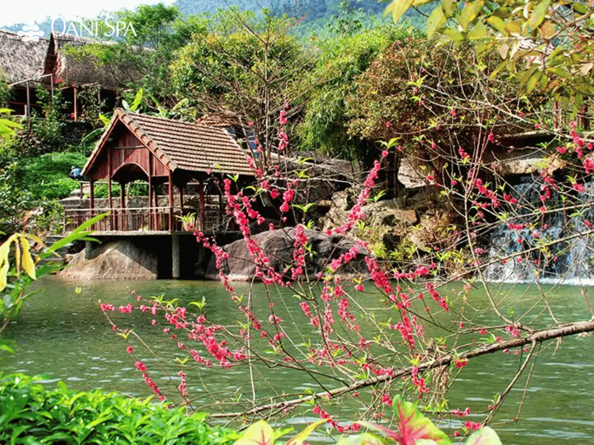 suối hoa đà nẵng